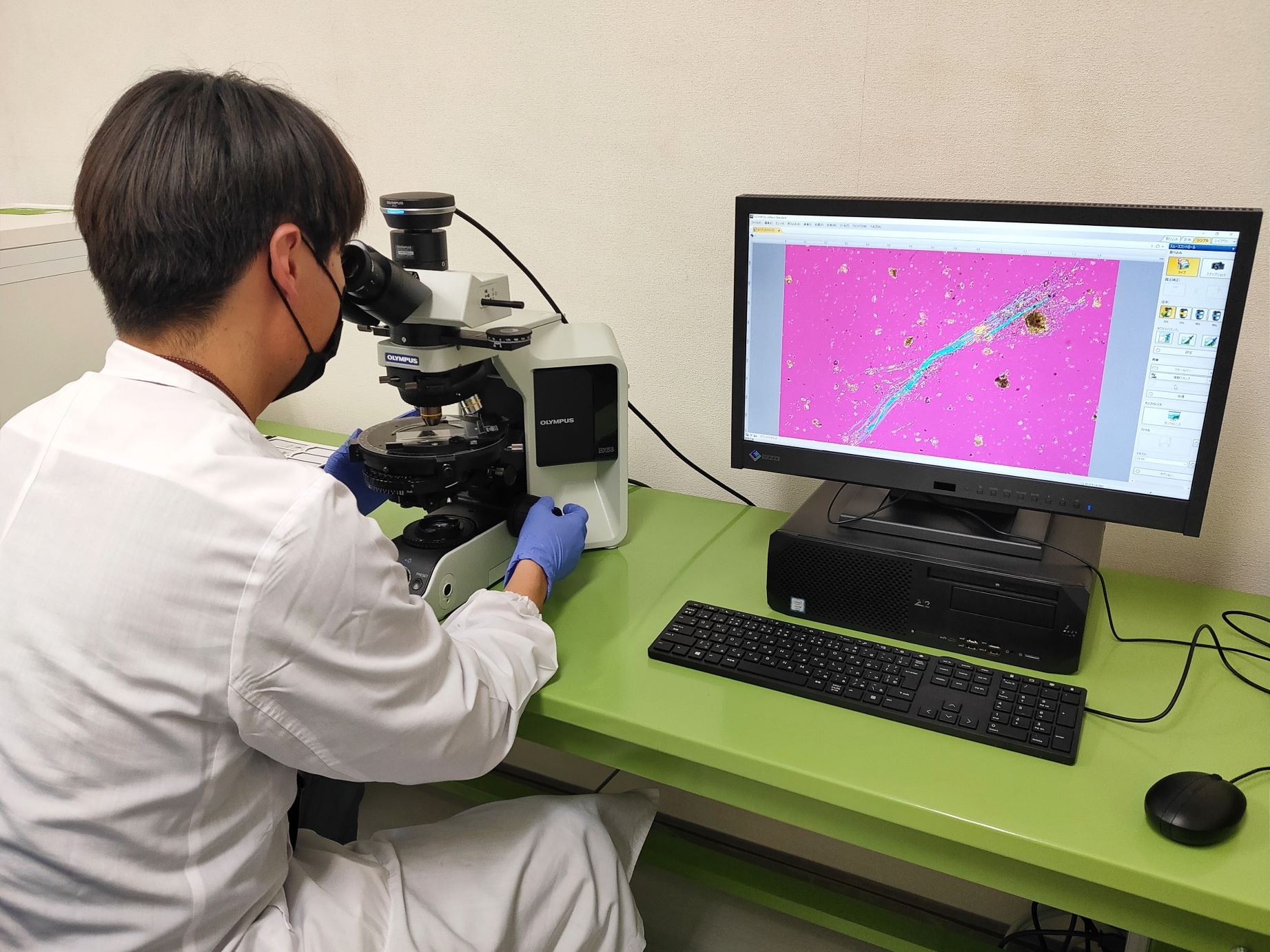 アスベスト定性分析について